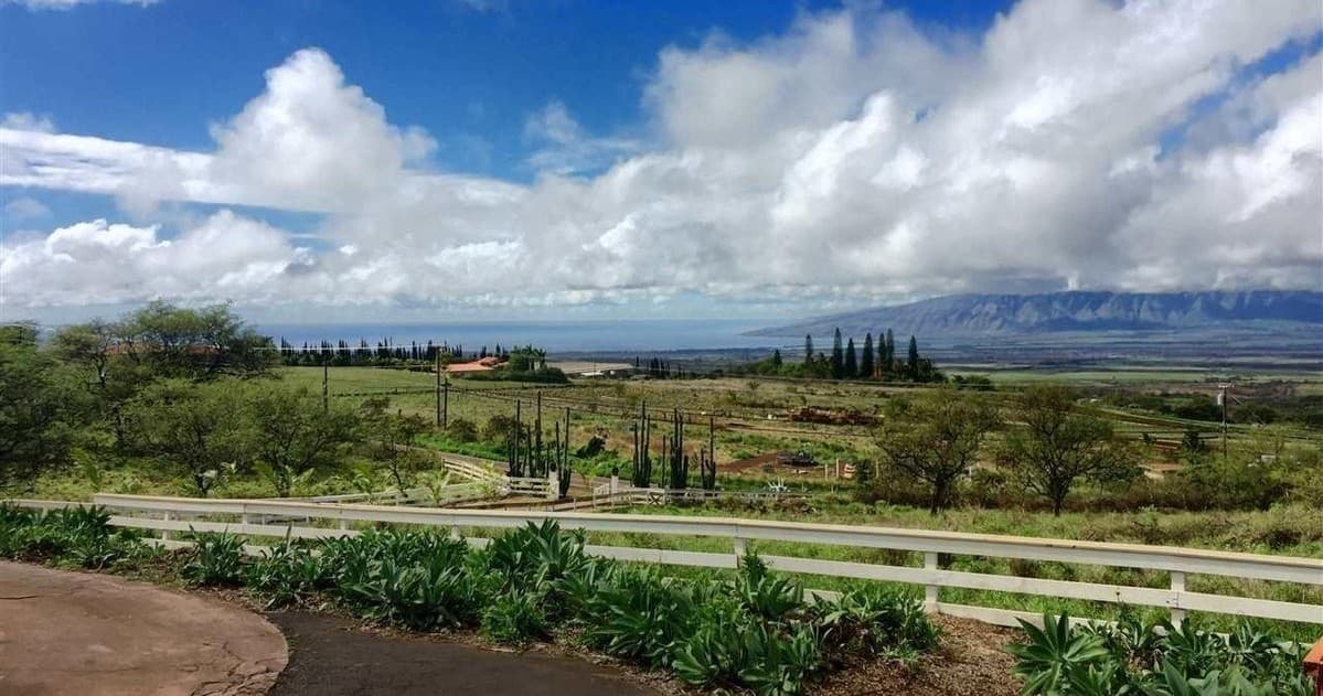 Living with Nature Tour by Maui Majesty in Kula