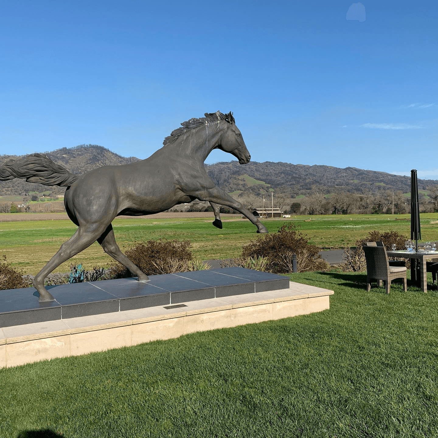 Sonoma Wine Rides team