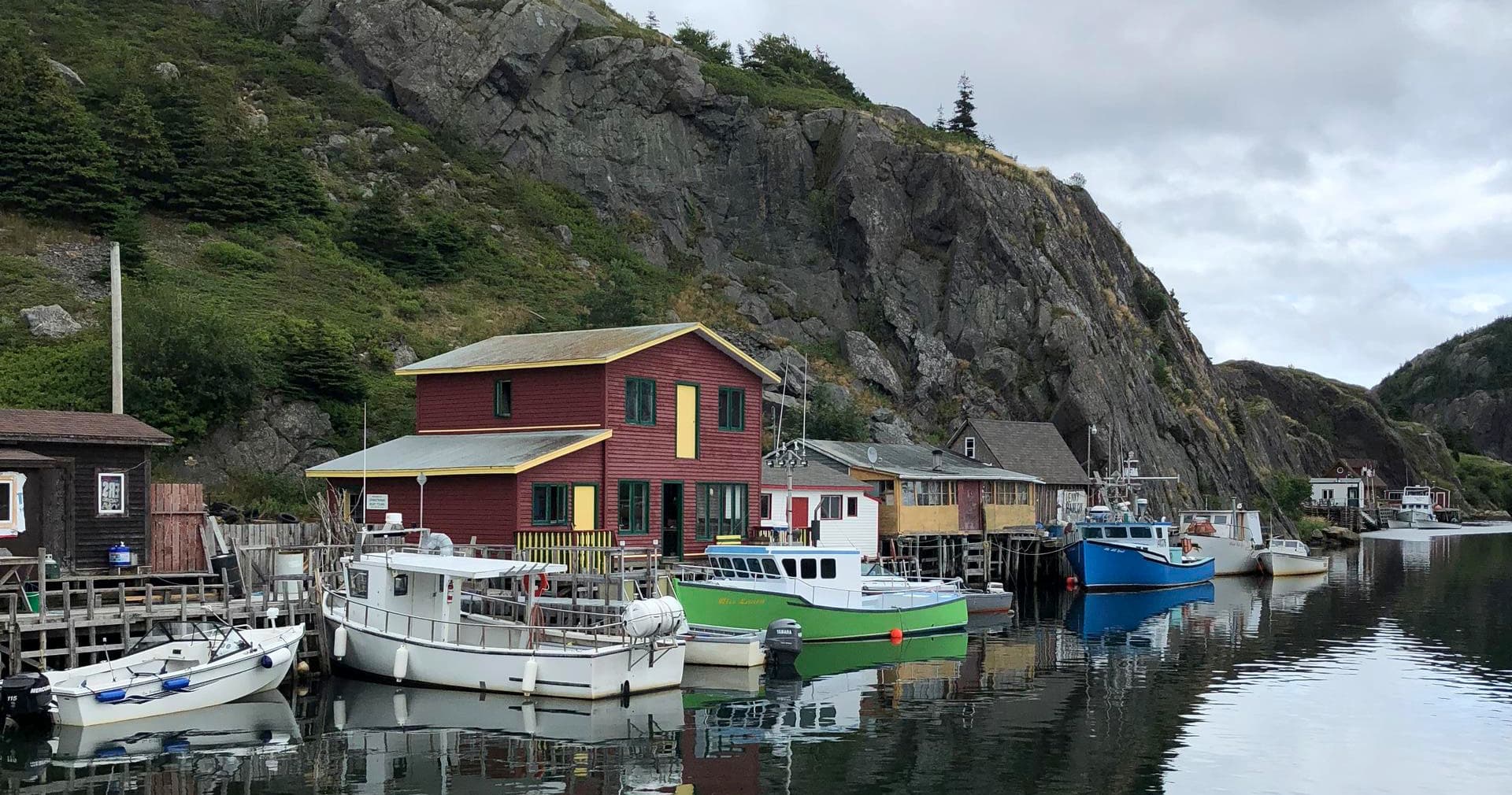 City Tour with Jellybean Tours in St. John's