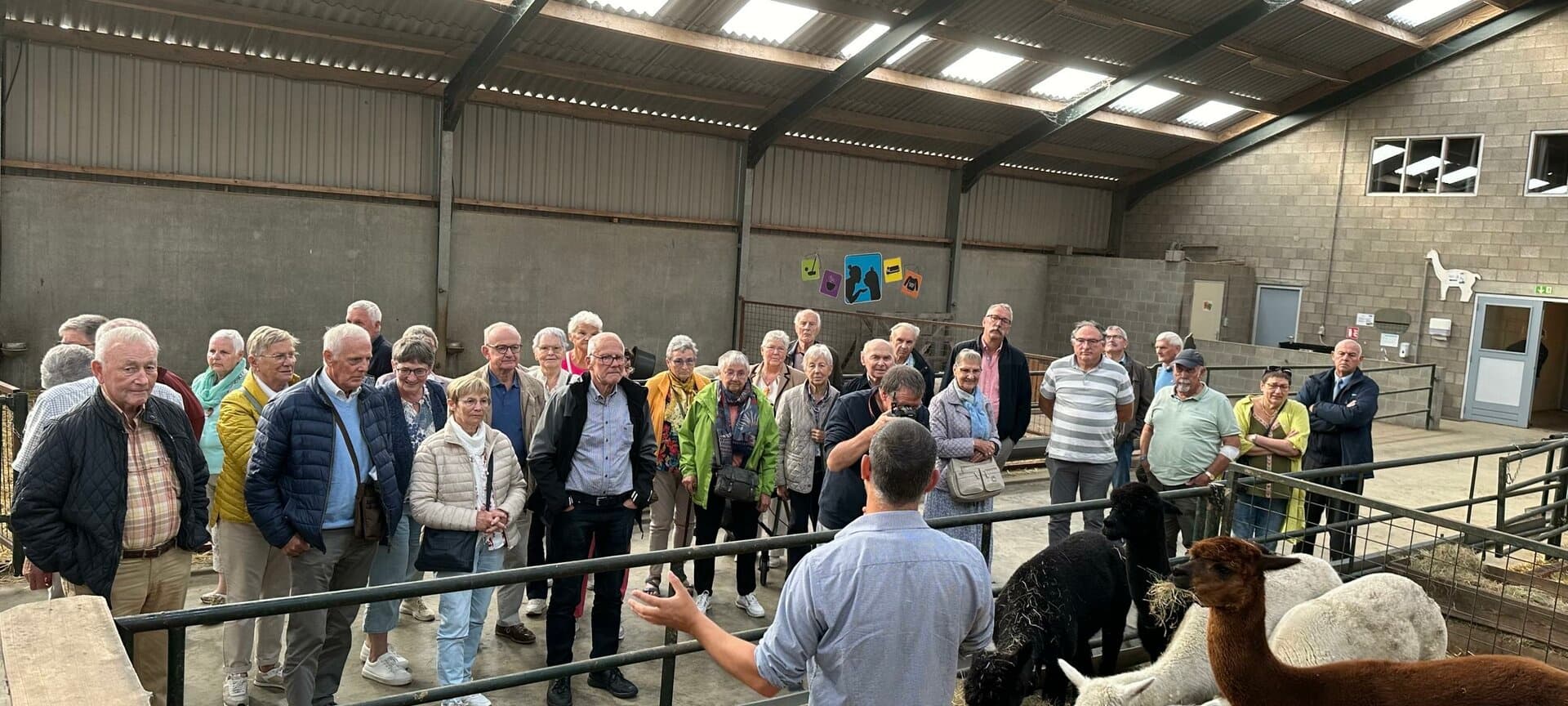 Wildlife & Farm Tour at De Alpacaboerderij
