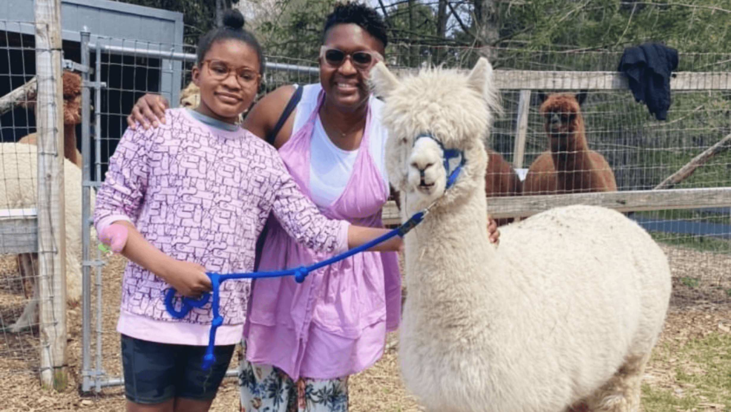Meet Alpacas and More: Guided Farm Tour at Lilymoore in Hudson Valley