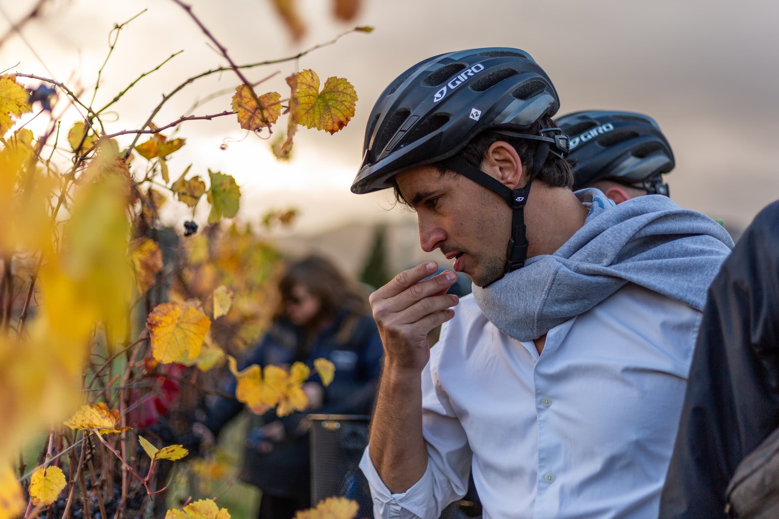 Outdoor Biking & Wine Tour in Marlborough
