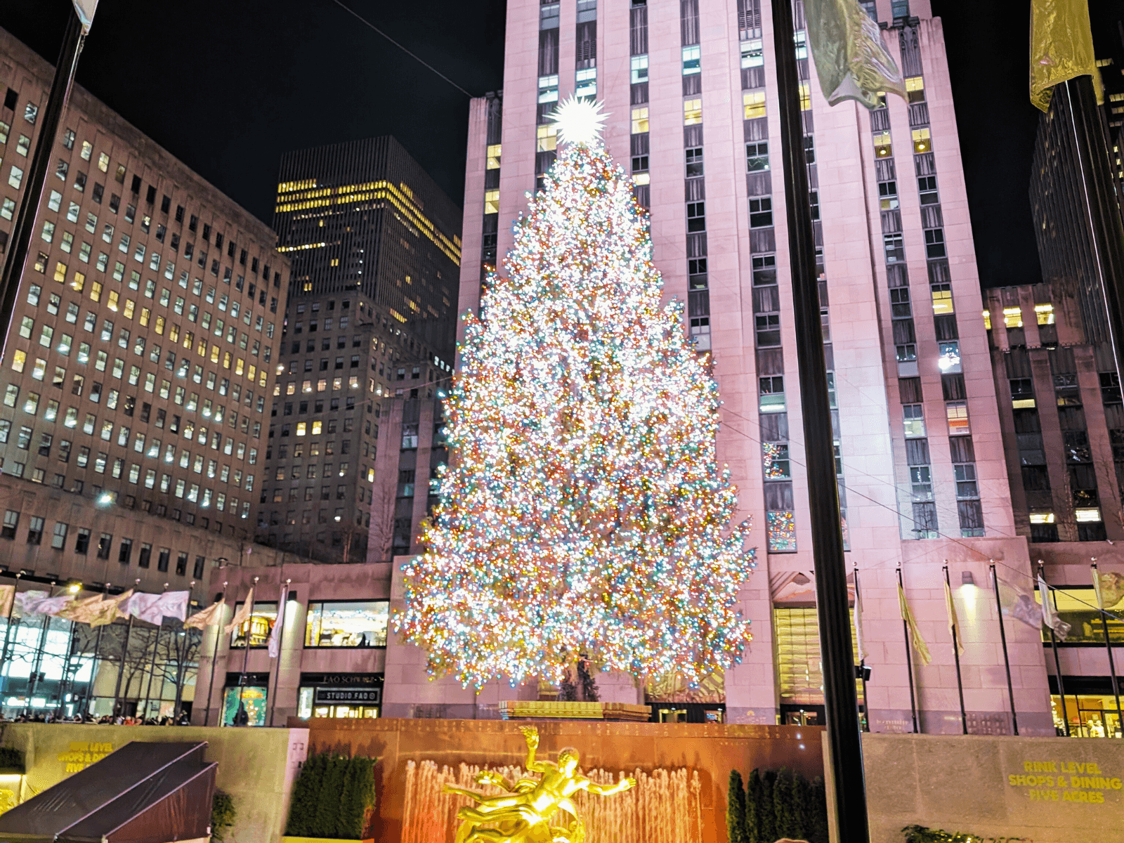 Holiday Lights NYC Tour by USA Guided Tours