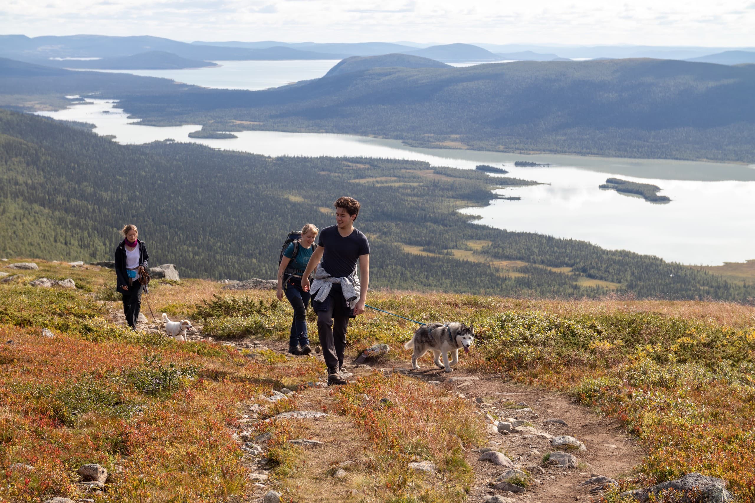 Husky-Led Nature Retreat in Rentjärn, Sweden — 7-Day Mentoring Week photo 3