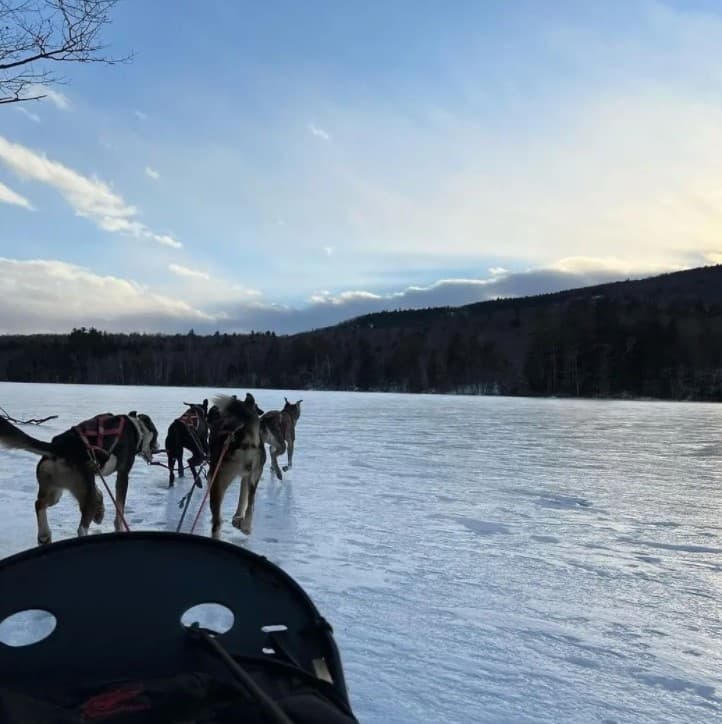 One-Hour Dog Sledding Adventure in Canton, Maine