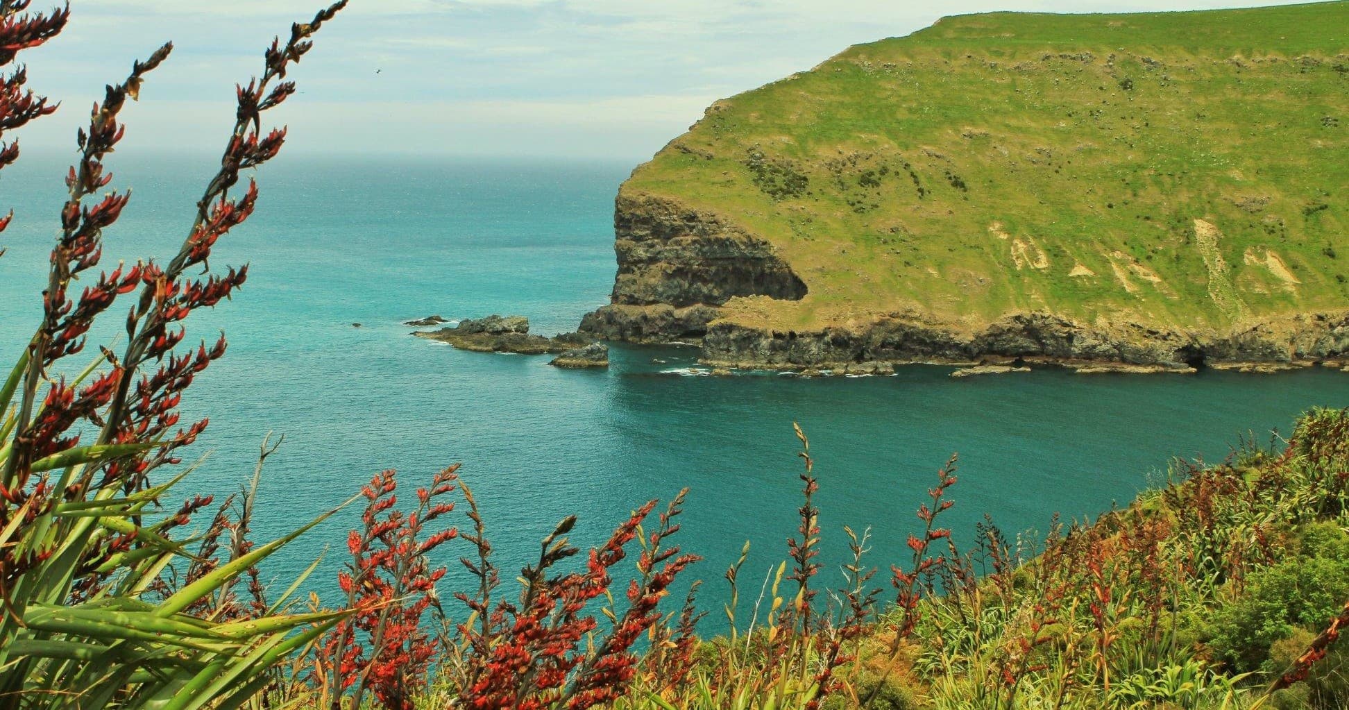 Cliffside coastal vista with turquoise bay and native coastal flora