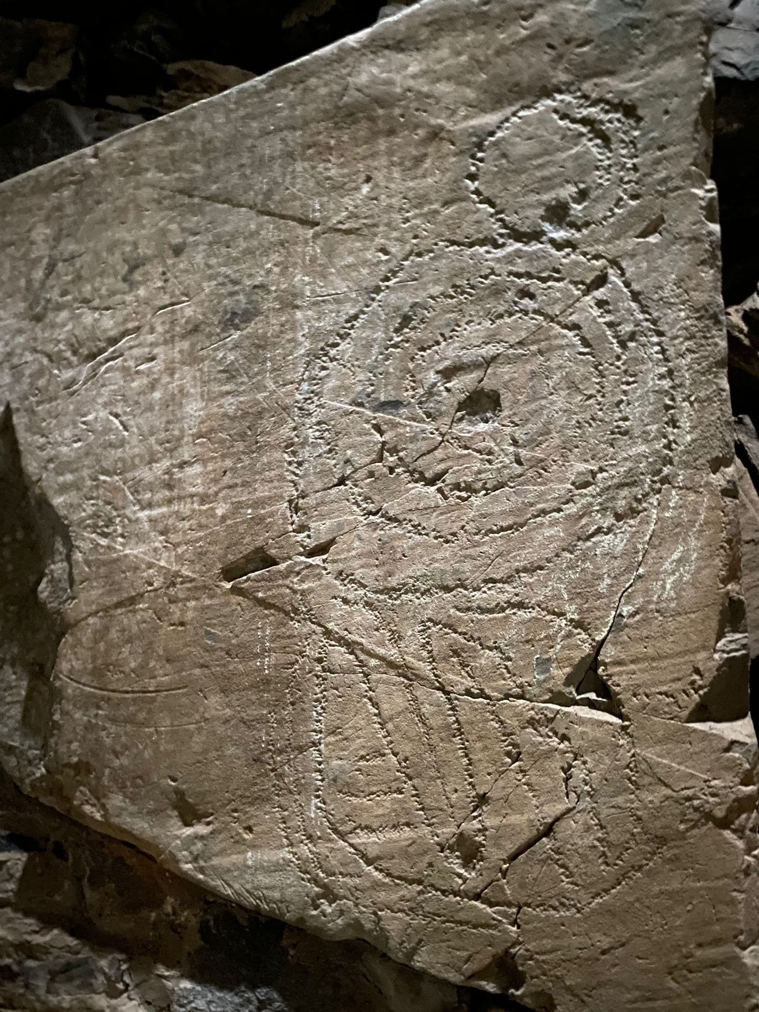 Newgrange Monument & Neolithic Art Tour — Boyne Valley Half-Day from Dublin photo 4