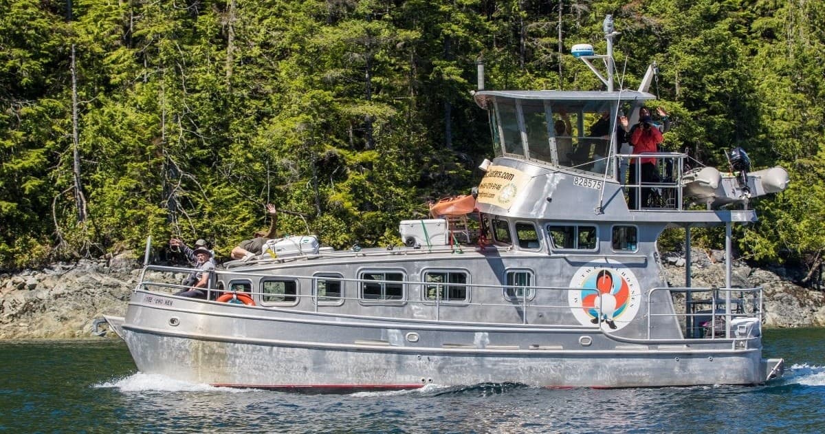High-Tide Estuary Cruise: Wildlife & Wrecks on the Courtenay River