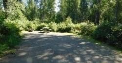 Camping & Outdoors at Montana Creek Campground