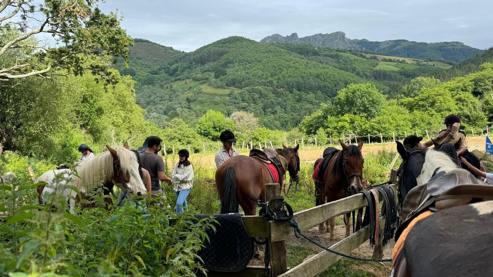 Horseback Tour of Basque Land’s Oiartzun Valley from San Sebastián