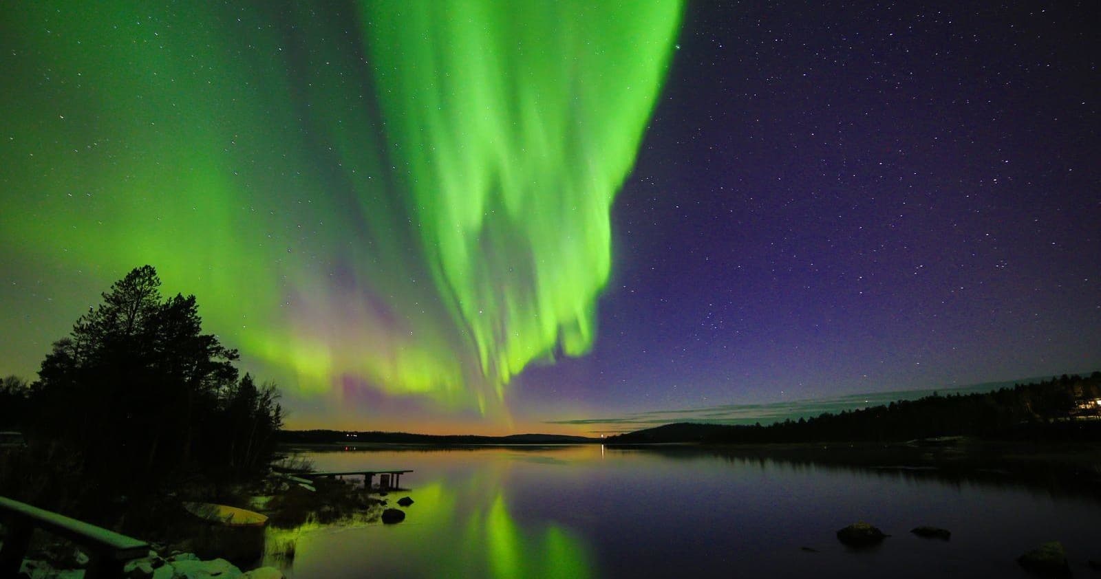 Aurora borealis sweeping over forested lakeshore at night