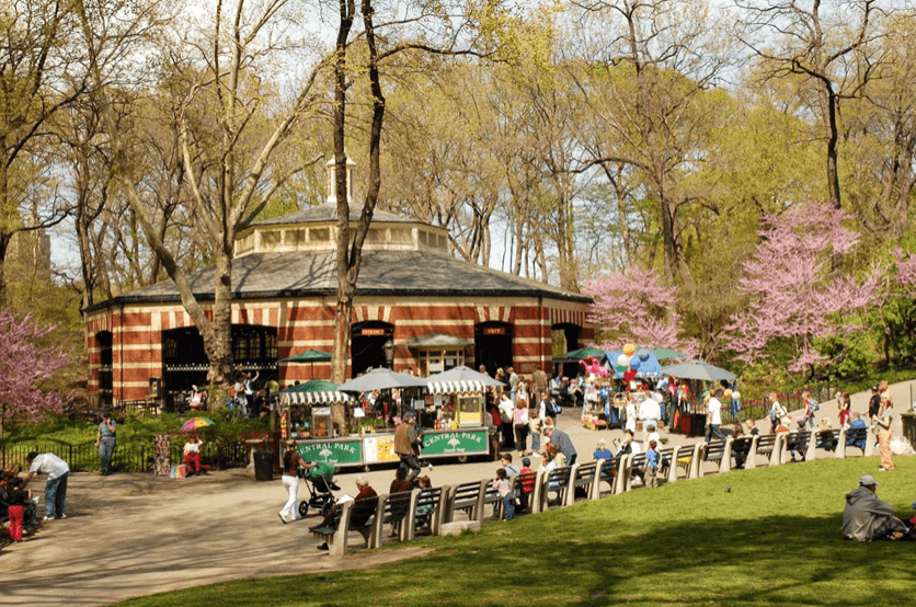 Family-Friendly Land Adventure at Carousel Picnic Party