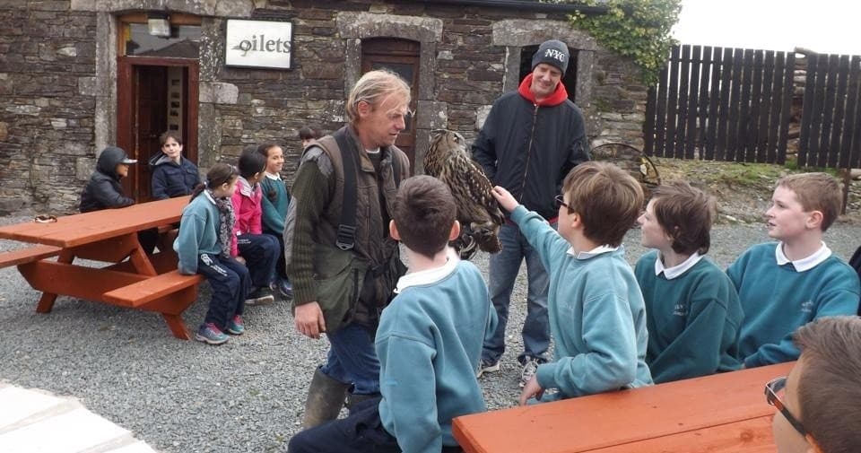 Harris Hawk Walks: Private Falconry Experiences in County Waterford photo 2