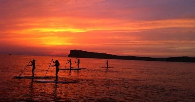 Sup Paradise Ibiza fleet