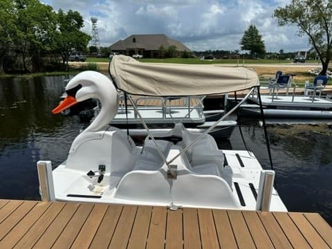 Electric Swan Boat Rentals on Lake Latigo: Quiet, Eco-Friendly Hour in West Monroe