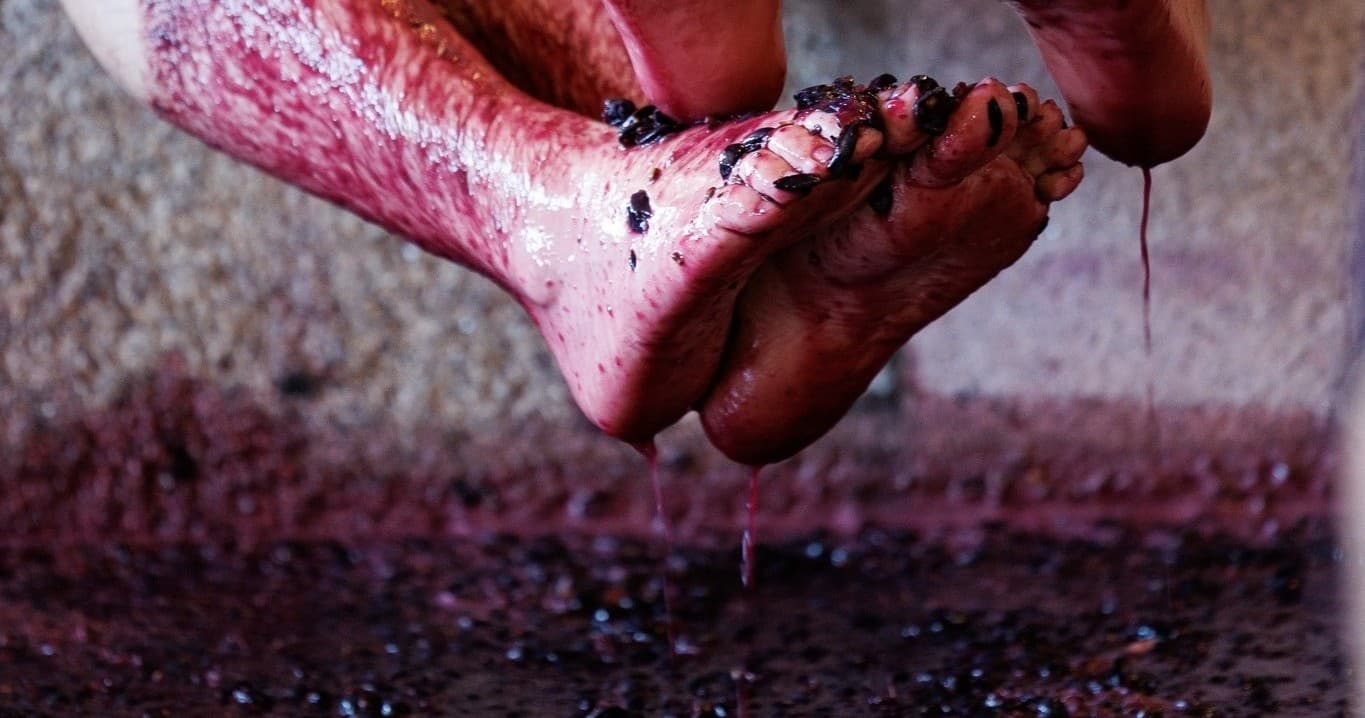Douro Grape Stomping & Wine Tasting with Farm Experiences & Tours