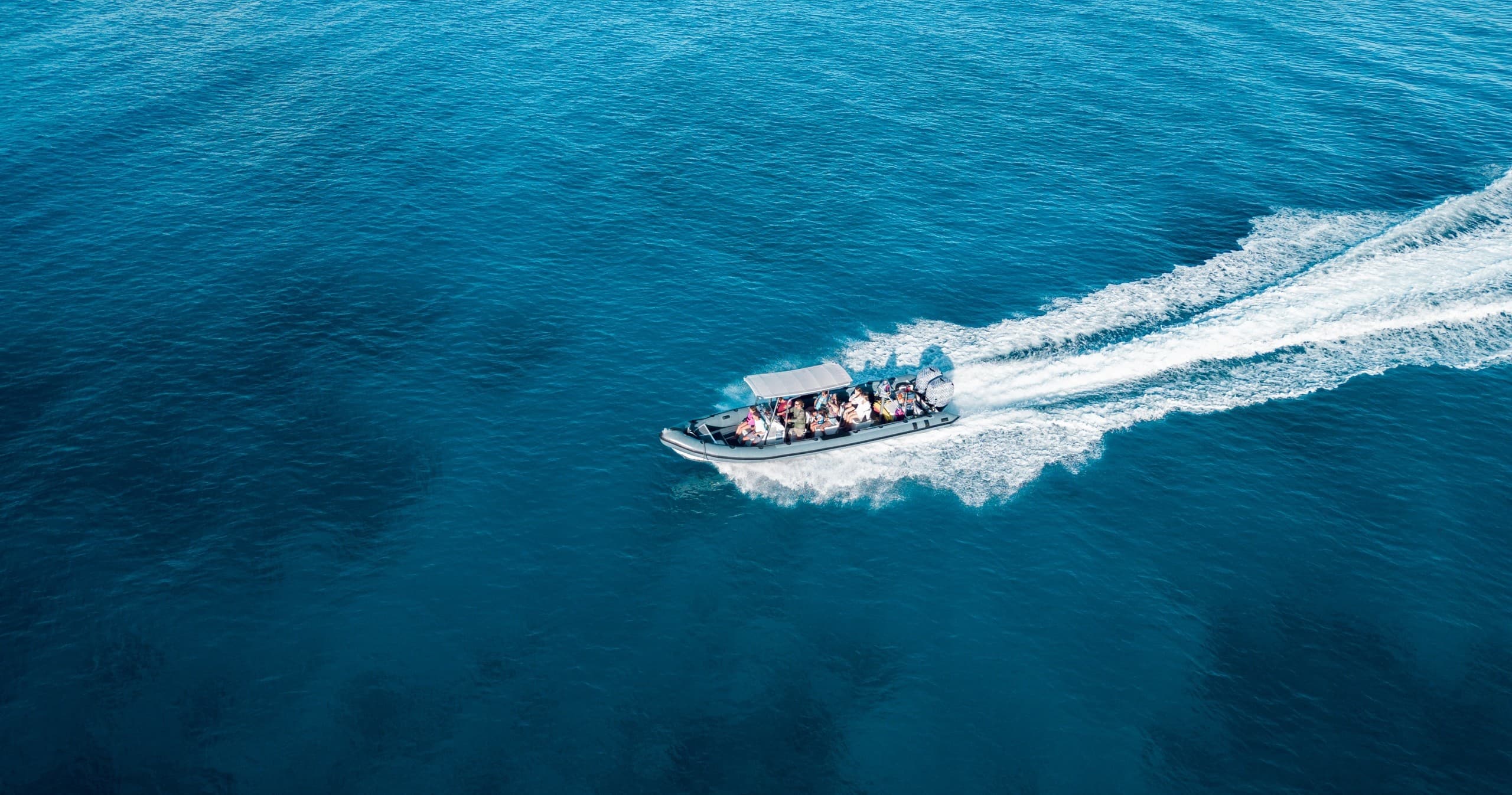 Turtle Canyons by Nautilus: Semi-Private Waikiki Snorkel Tour for Up-Close Honu Encounters photo 1