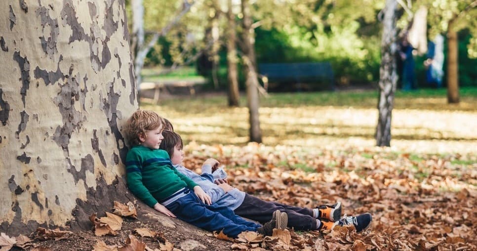 Outdoor Education & Nature Play at Wild Things
