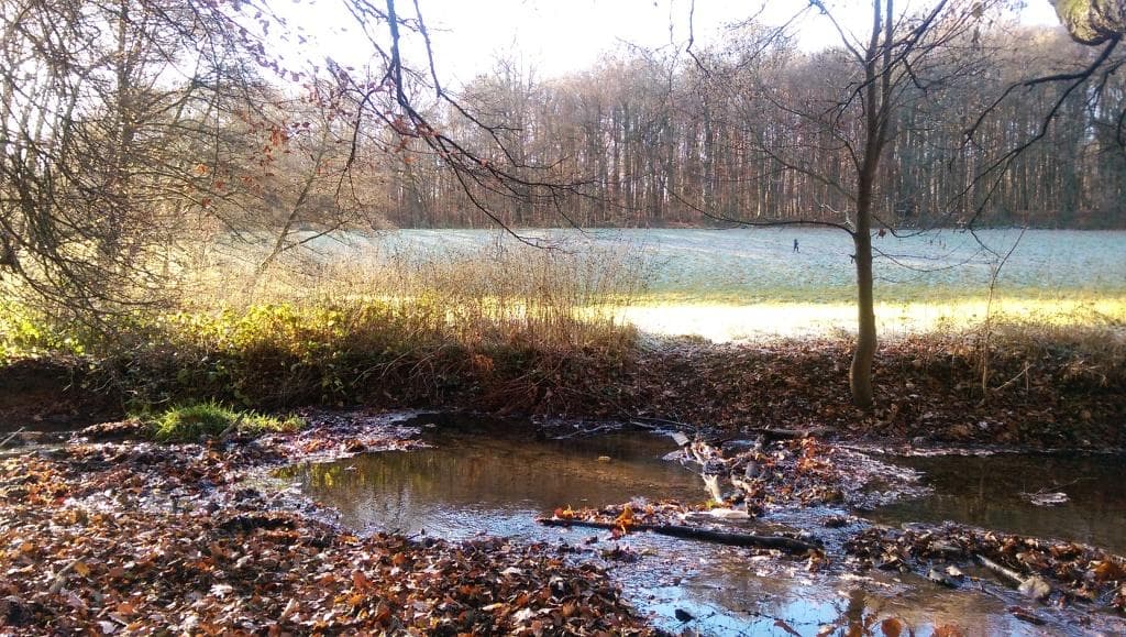 Hiking & Nature Tour: 3 Bäche-Wanderung in Wiesbaden