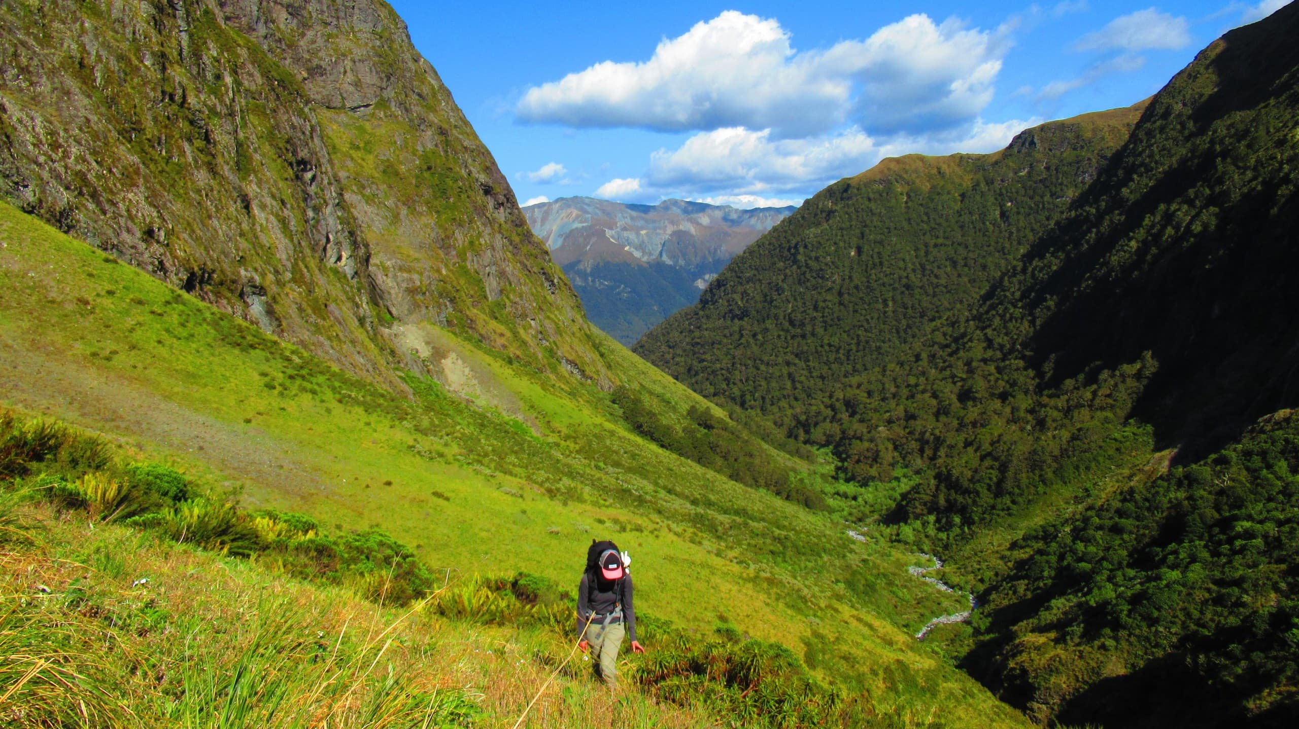 Dore Pass Alpine Traverse: Fiordland's One-Day Alpine Crossing from Te Anau photo 2