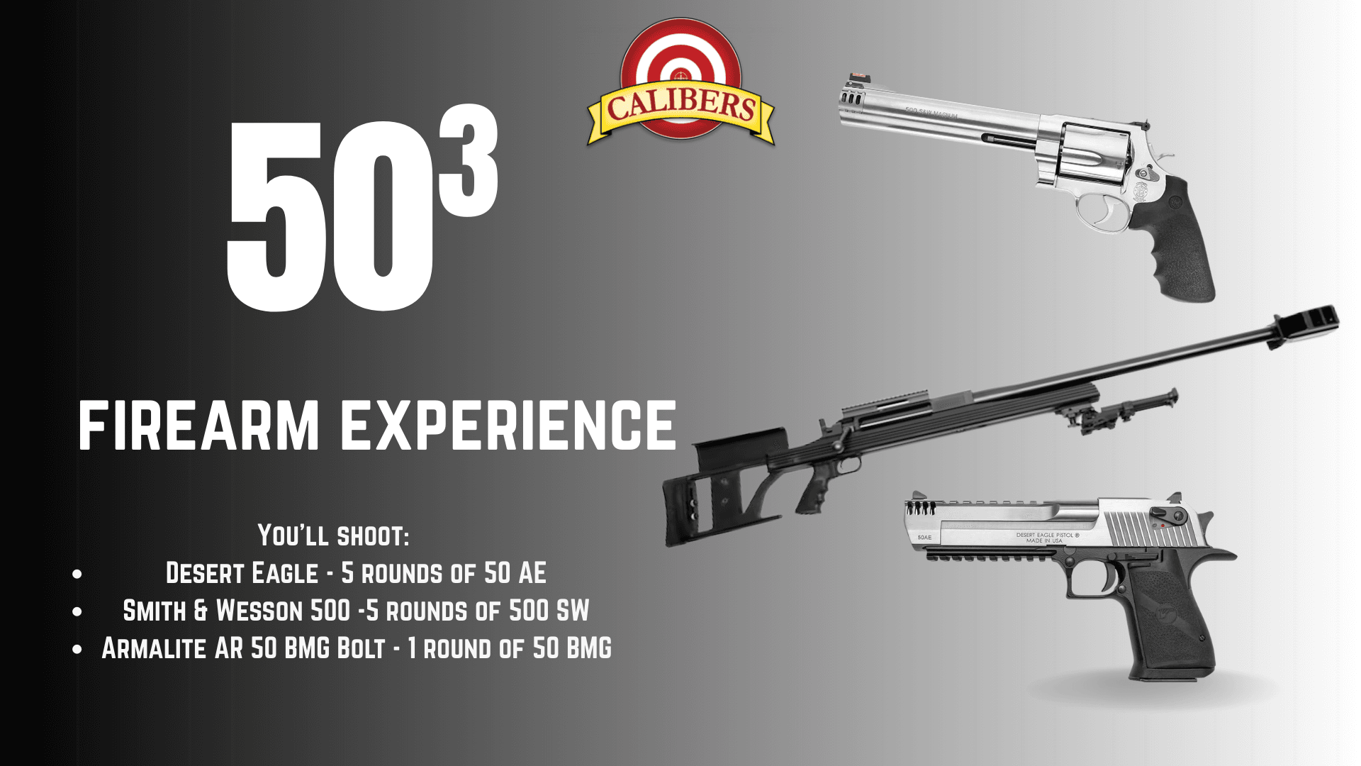 50 Cubed: Fire a Desert Eagle, .500 S&W & .50 BMG in Albuquerque photo 1
