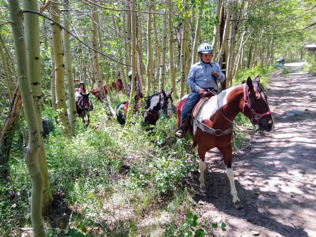 Rainbow Meadow Ride: Family-Friendly Mountain Trail Horseback Ride Near Bishop, CA