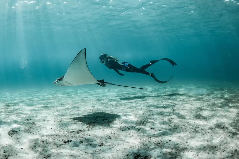 Hidden Reefs: Small-Boat Snorkel Tours Off Riviera Beach, FL