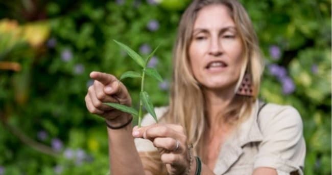 Wild Food & Farm Tour | Farm in Wailuku, Hawaii