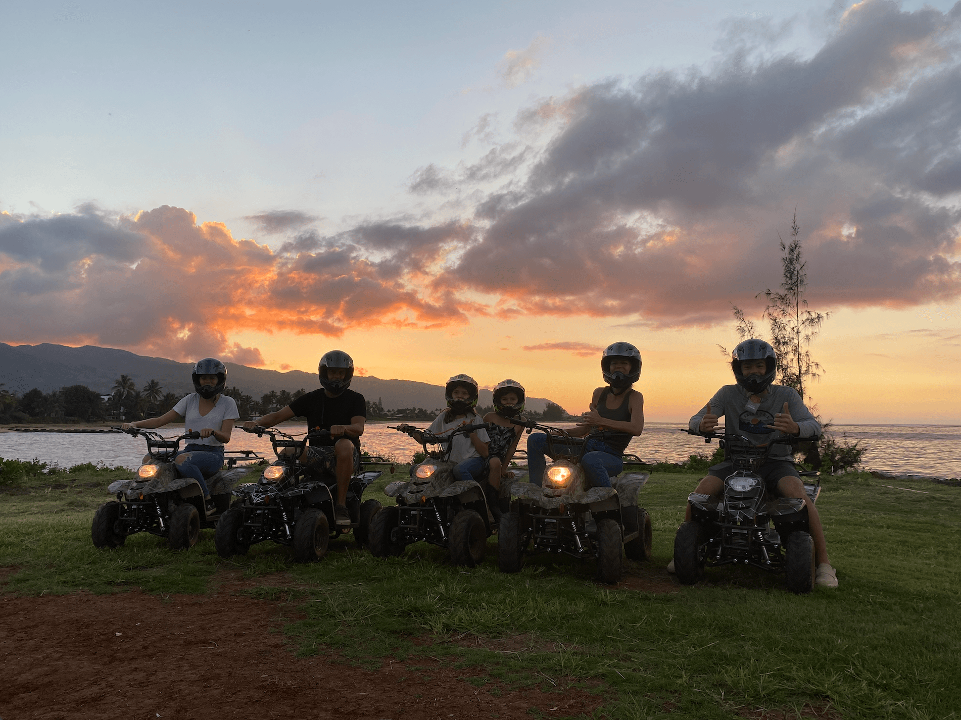 North Shore Stables fleet