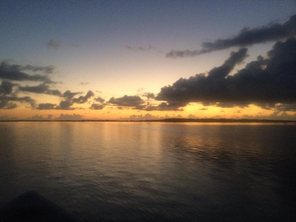 Water Activities & Birding with Aransas Bay Birding Charters