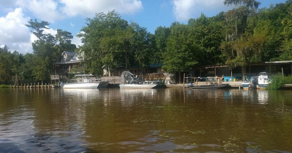 Experience the Wild Serenity of Louisiana’s Swamps on a Large Airboat Tour