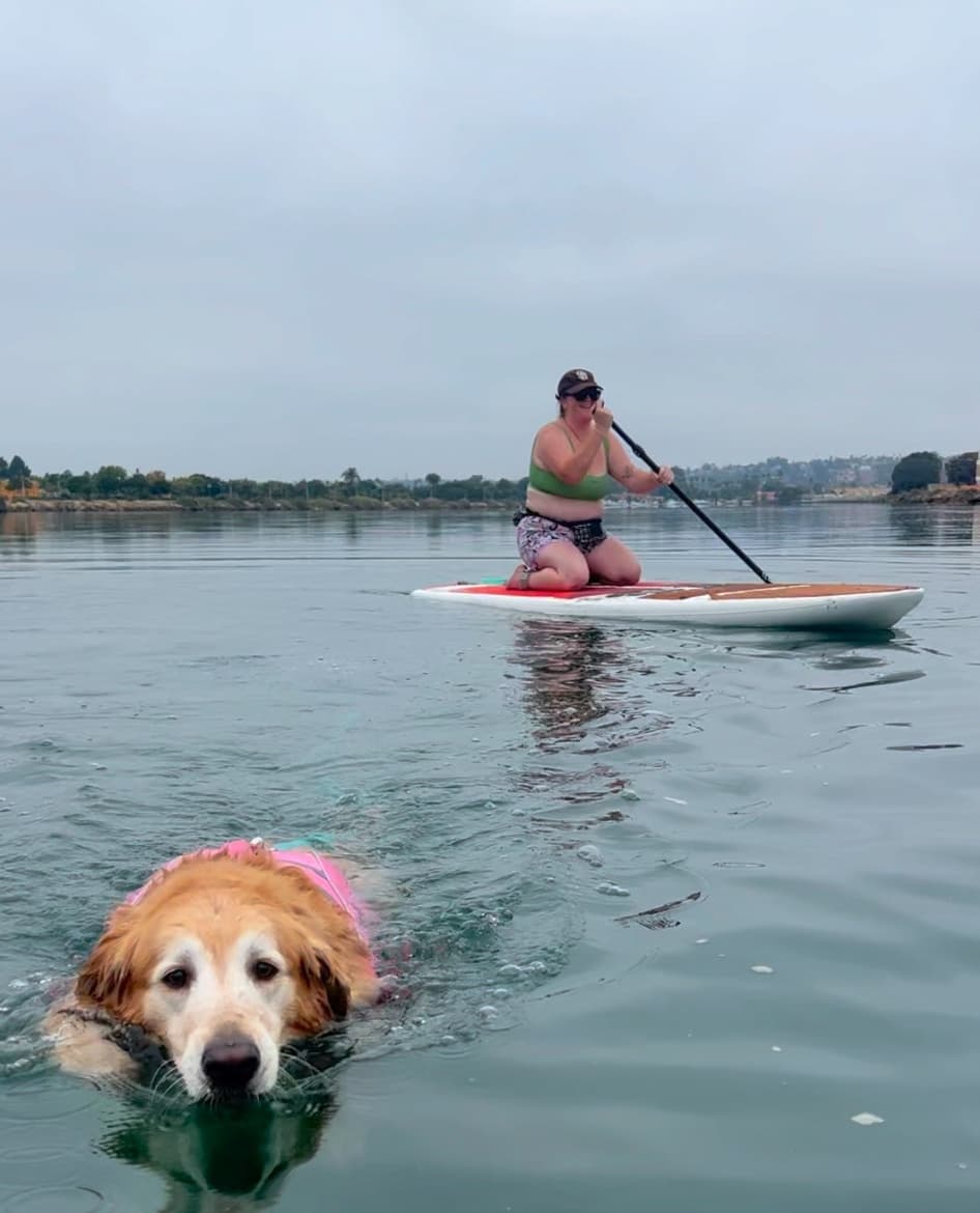 Master Water Confidence Together: Dog Swim Lessons in San Diego's Liberty Station