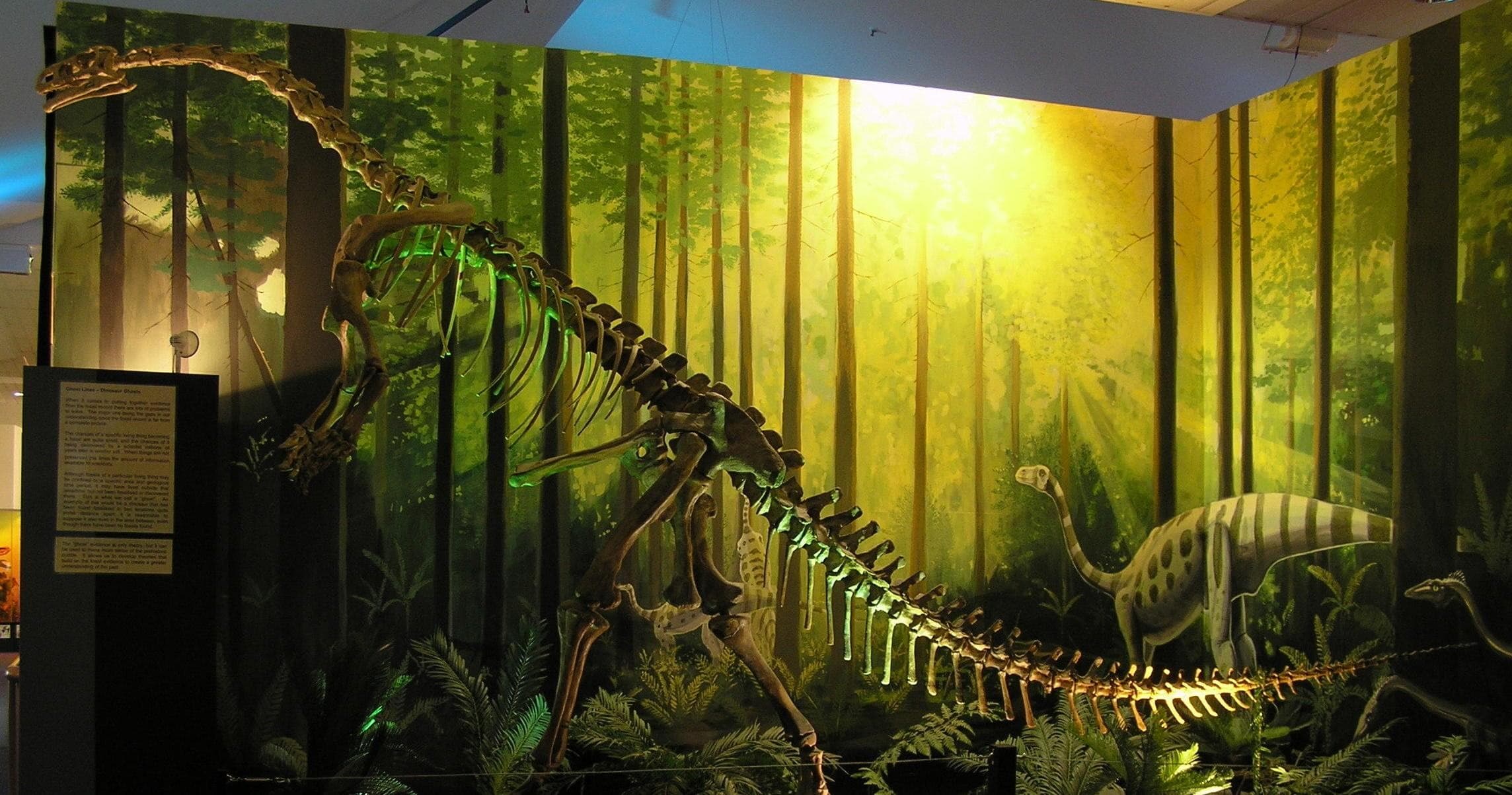 Dinos @ School: National Dinosaur Museum Guided Tour in Nicholls