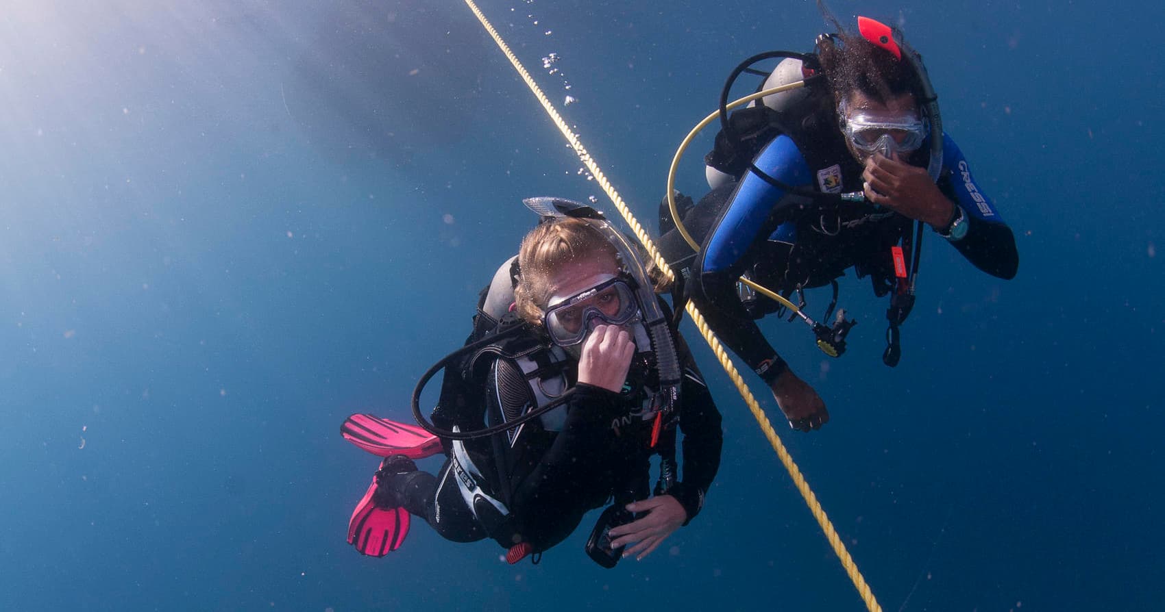 PADI Open Water Diver Referral in San Diego, CA