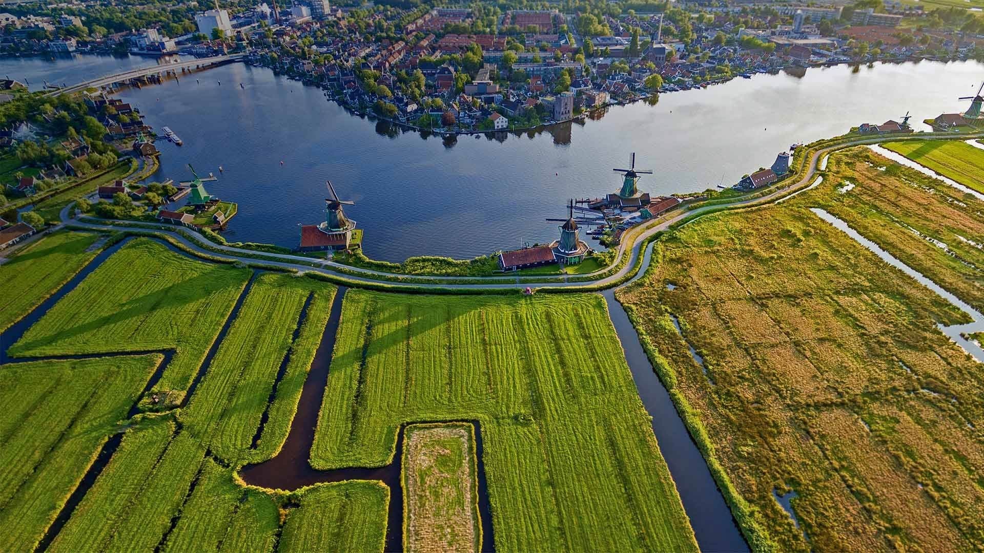 Zaanse Schans Guided Tour: Windmills, Clogs & Gouda Cheese Near Amsterdam