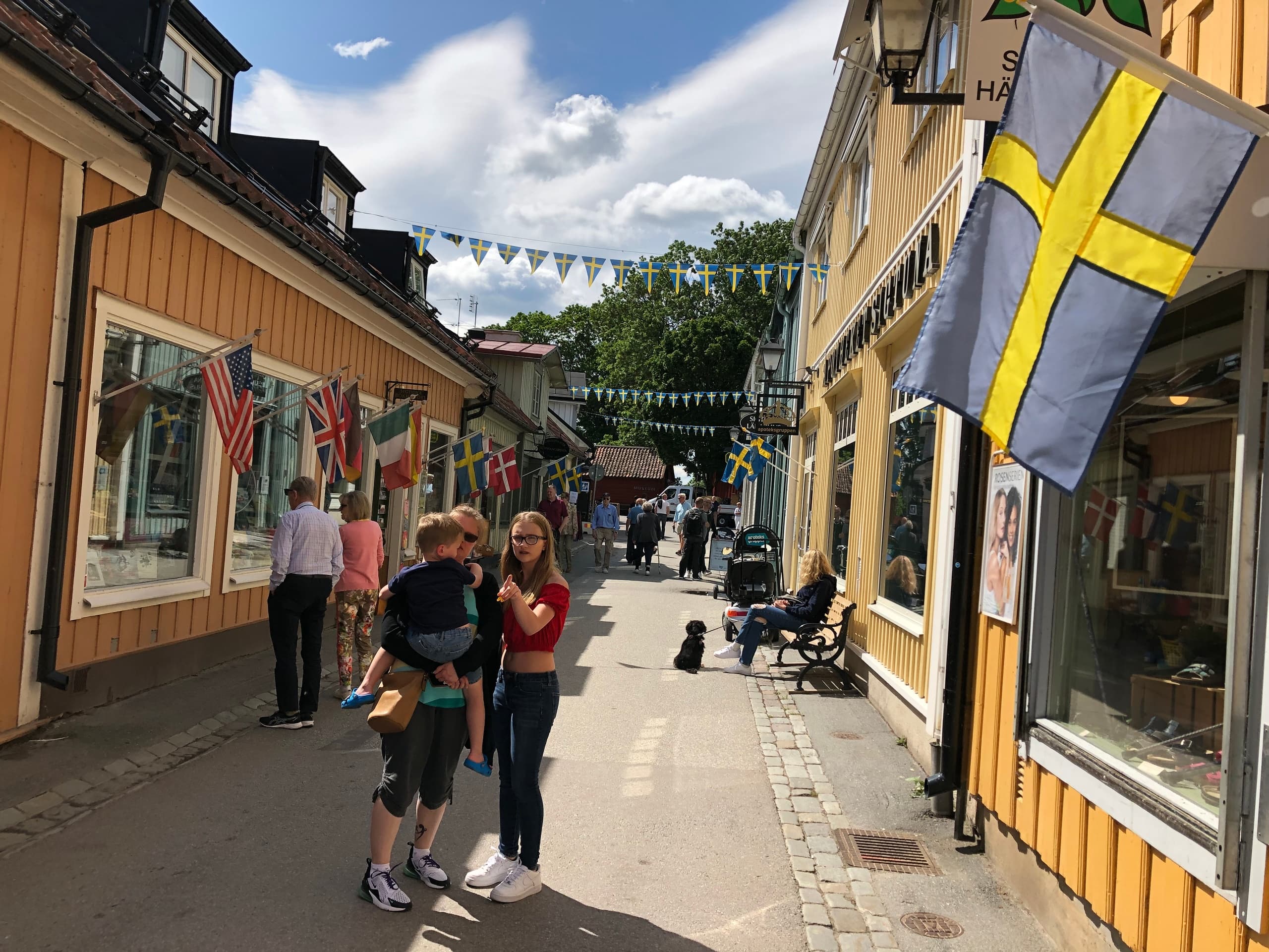 Half-Day Sigtuna History Walk with Sweden History Tours