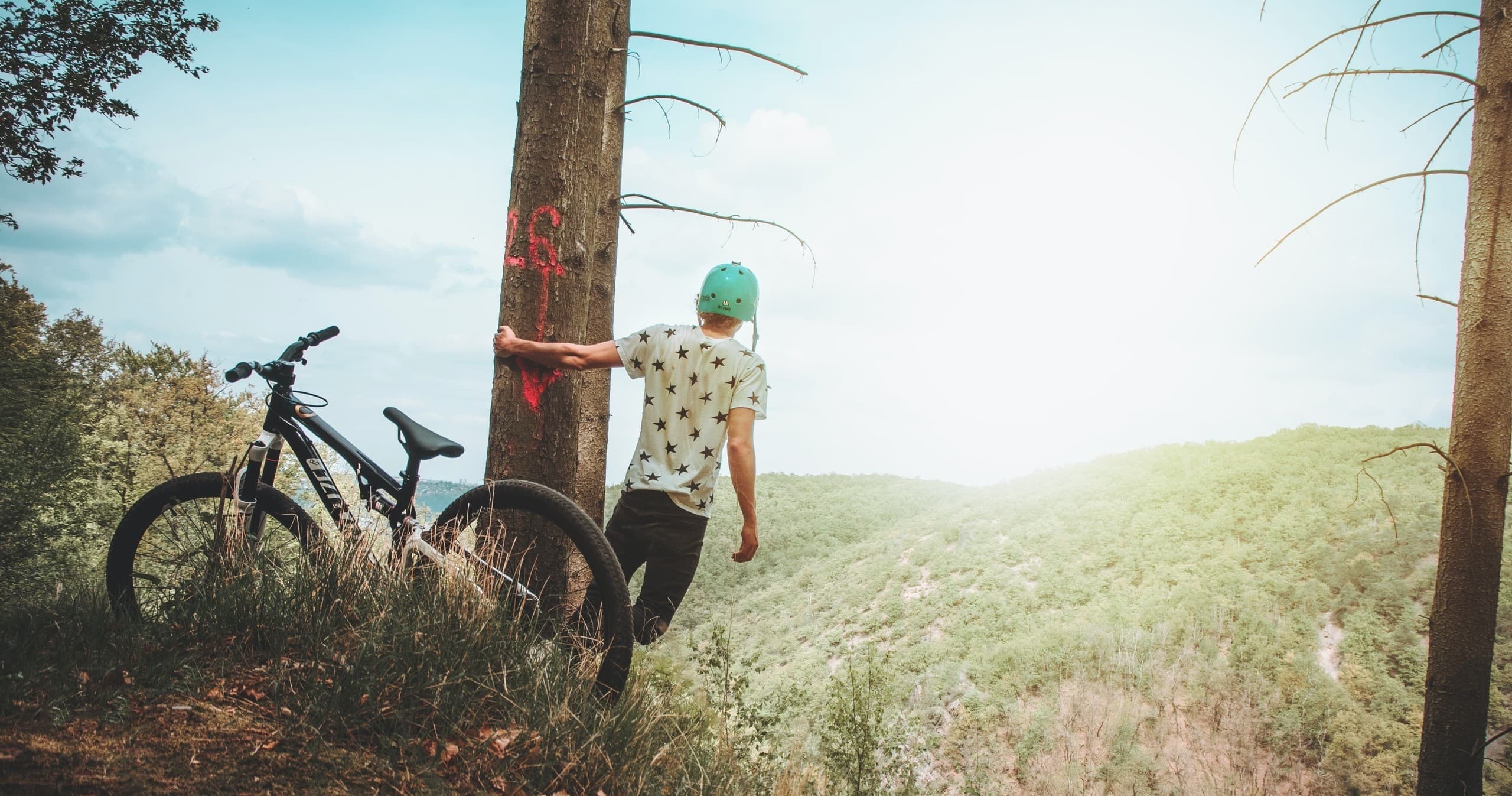 Half Day Bike Hire with Albany Bicycle Hire