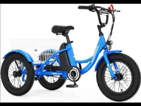 Trail Riderz Bike Rentals team