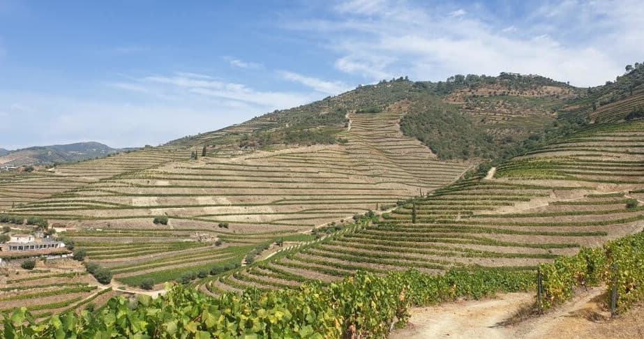 Douro Valley Bike Tours with Top Bike Tours in Porto