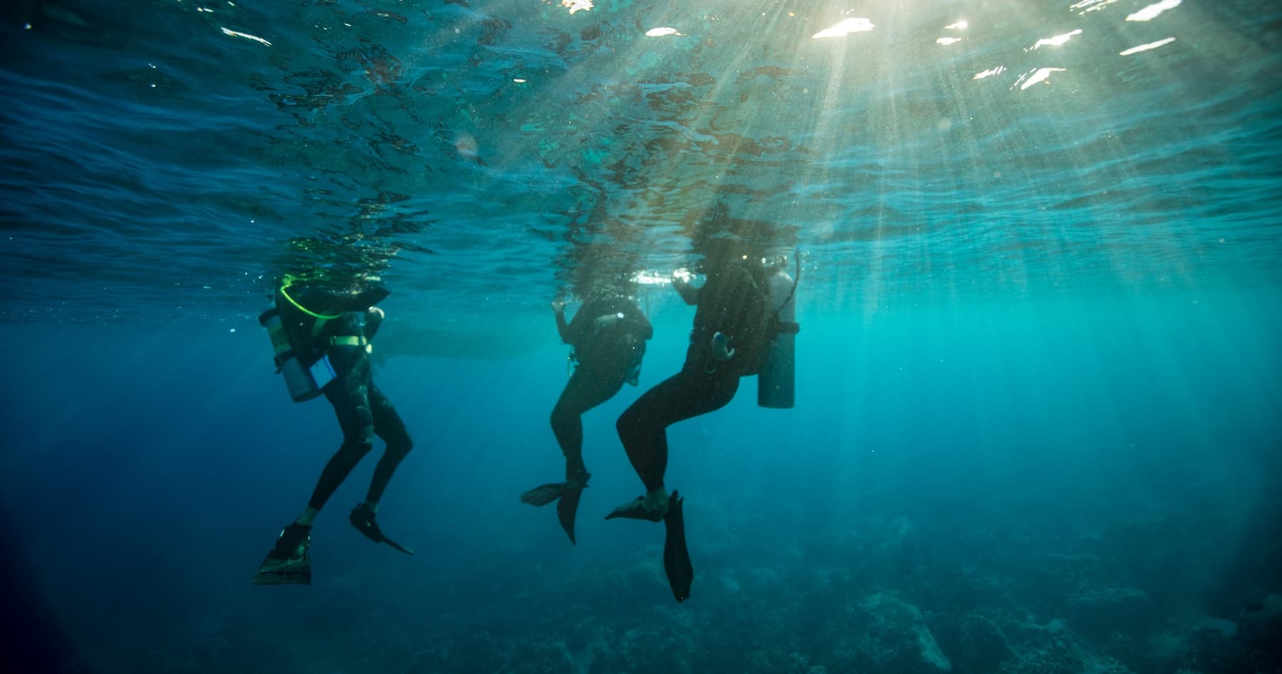 Divemaster Course in Playa del Carmen: Become a Professional Scuba Leader photo 1