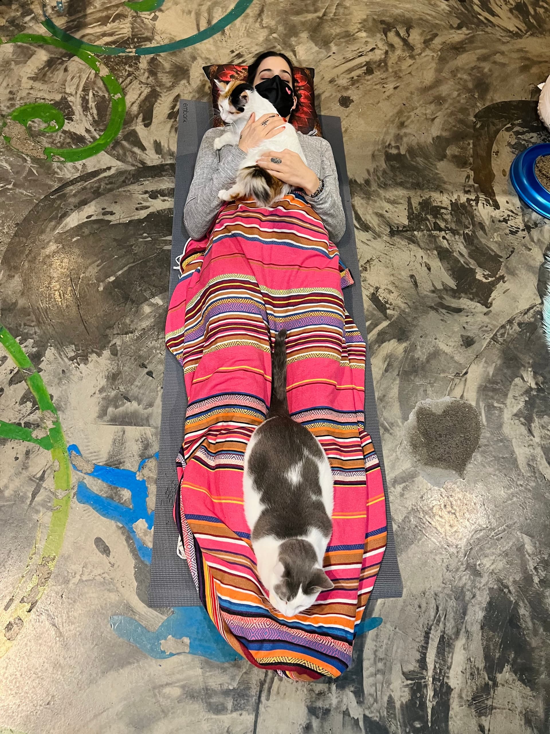 Seattle Meowtropolitan team