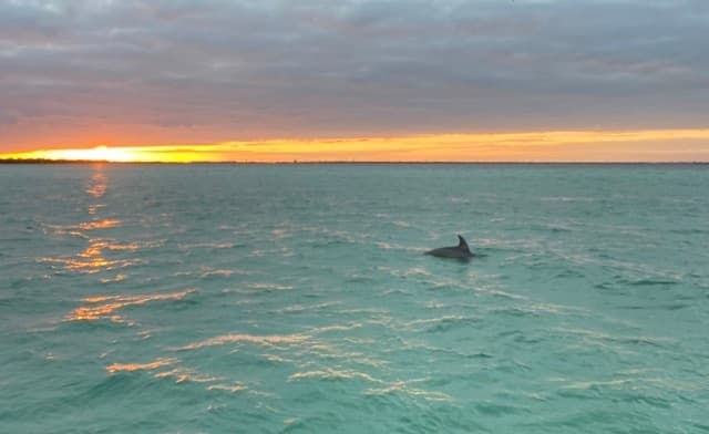 Sunset Water Adventures with Crab Island Voyages in Fort Walton Beach