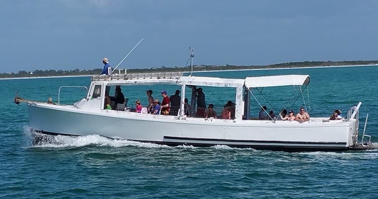 Dolphin Snorkeling Cruise in Gulfport: An Unforgettable Marine Adventure