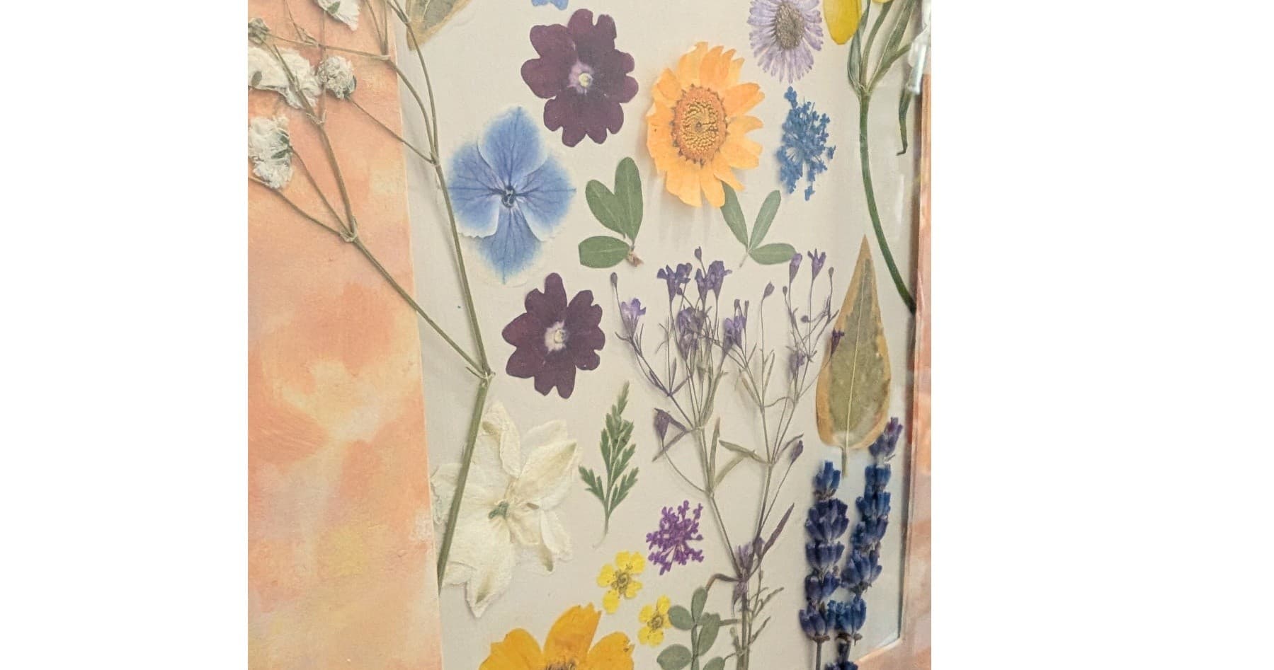 Framed Pressed Flowers Workshop: DIY Botanical Frames in Baltimore photo 1