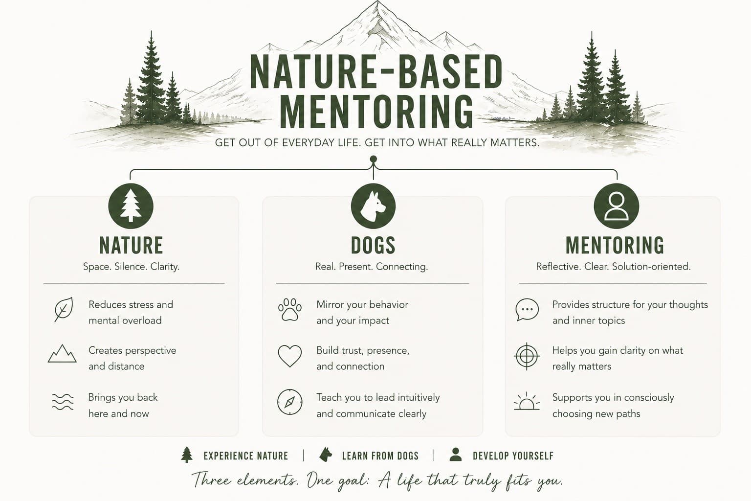 Husky-Led Nature Retreat in Rentjärn, Sweden — 7-Day Mentoring Week photo 1