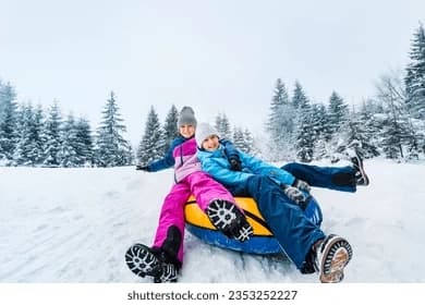 Heli Sledding Adventure with Alaska Helicopter Tours in Palmer