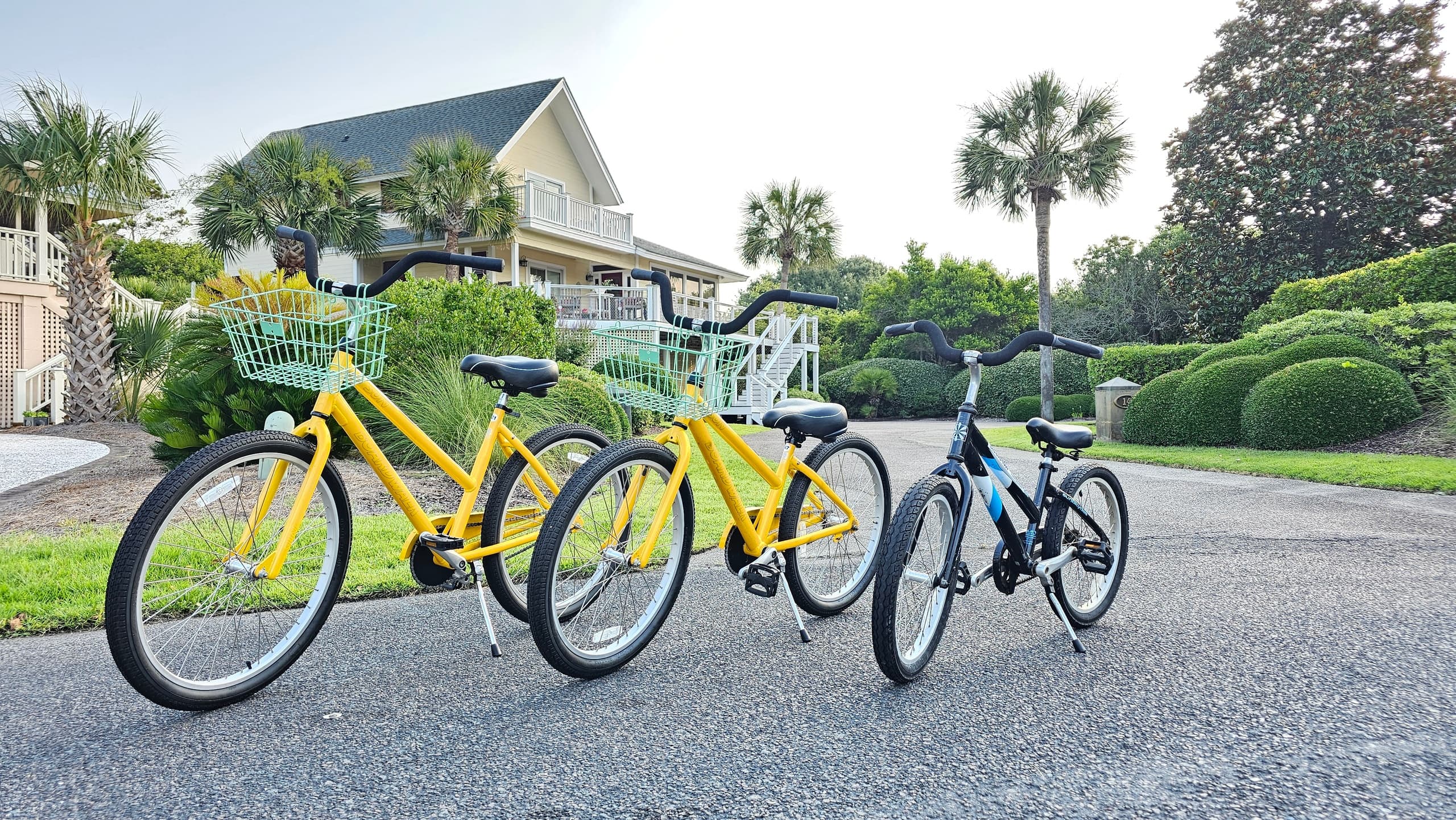 Group of rental bikes on coastal neighborhood road, palm-lined