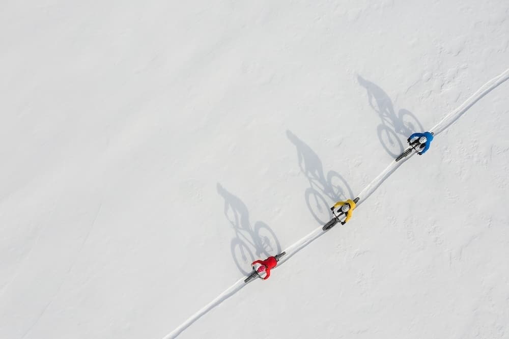 Fat-Bike Winter Ride & Tree ID at Matanuska Lakes State Rec Area