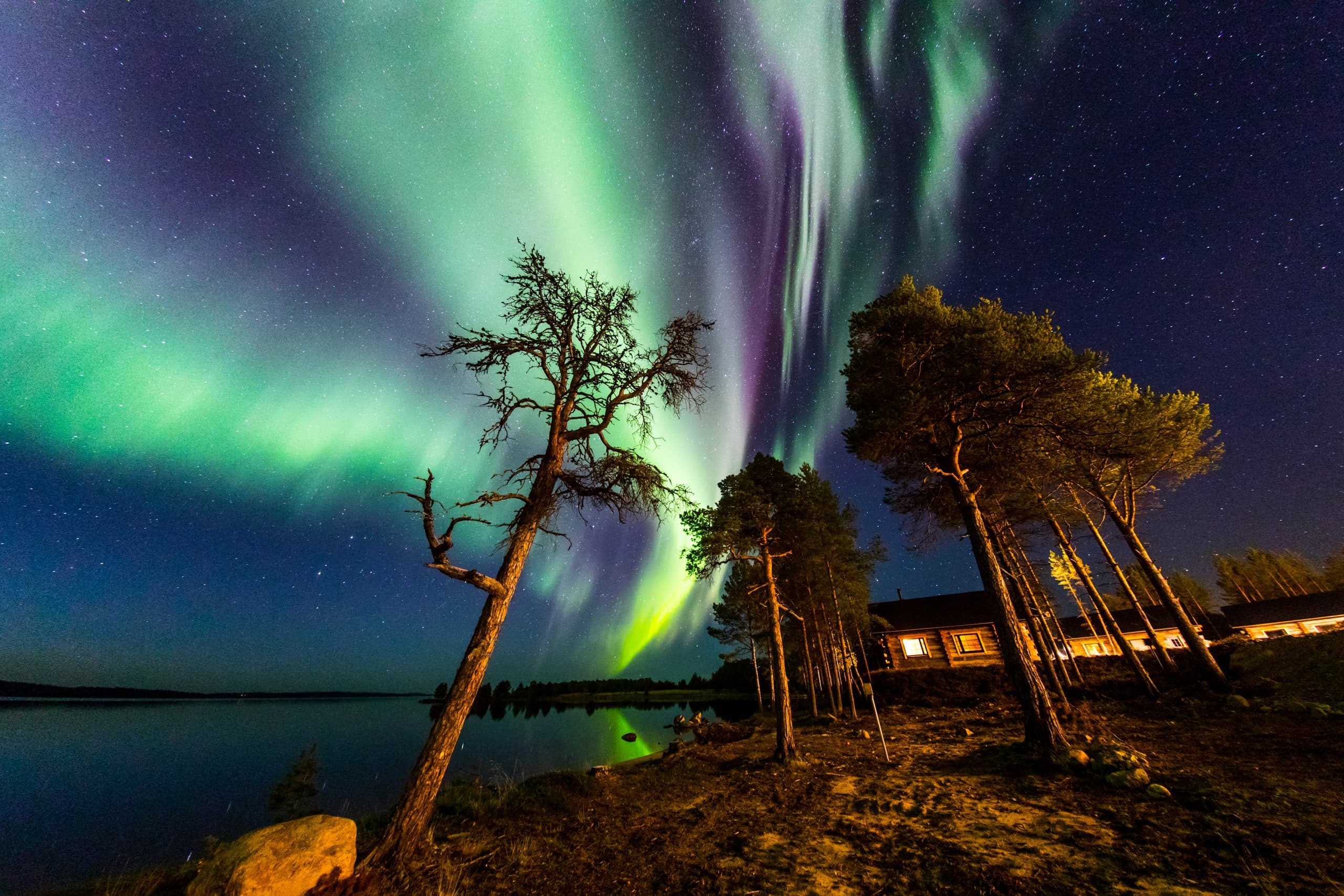 Aurora Car Hunt with Wilderness Hotel - Inari