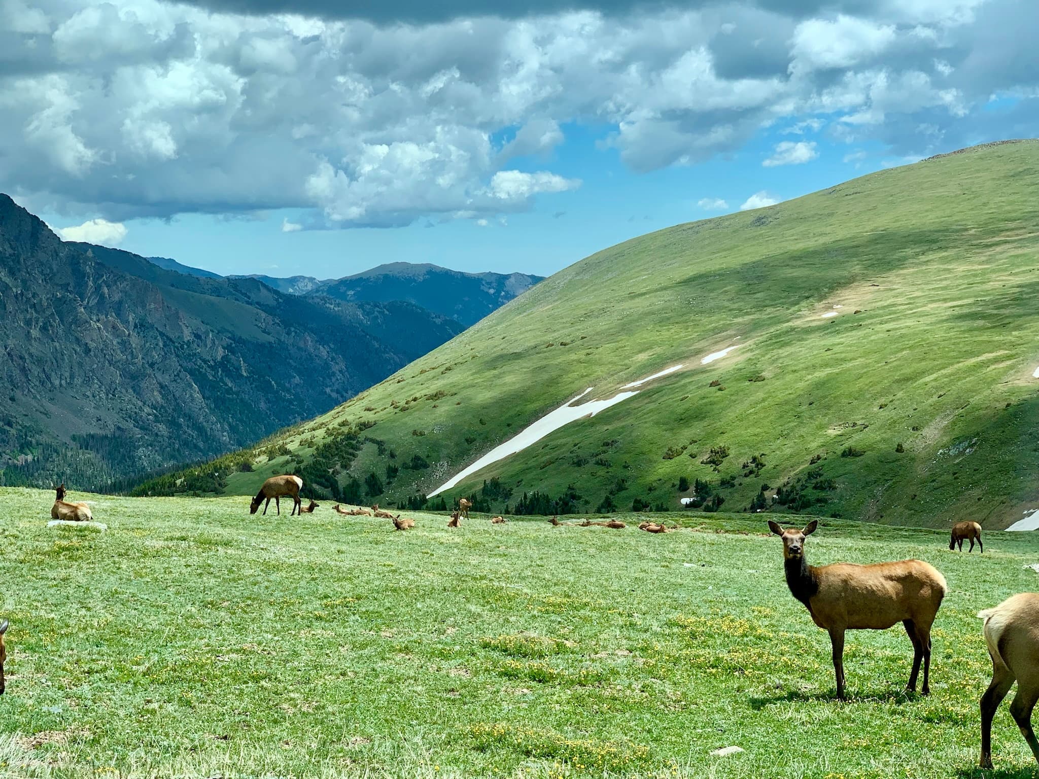 Drive Trail Ridge and Old Fall River Road: The Full Ride Experience in Rocky Mountain National Park photo 2